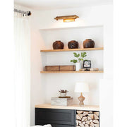Modern Devon Picture Light 18
