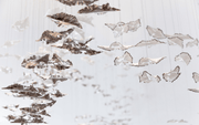 Leaf Twisted Sculptural Customize Chandelier