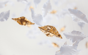 Leaf Twisted Sculptural Customize Chandelier