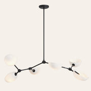 Argus Chandelier, 45
