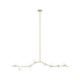Mull 10 - Light Chandelier
