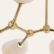 Argus Chandelier, 32