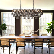 Rocaille Iron & Crystal Chandelier