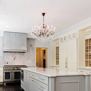 Rocaille Iron & Crystal Chandelier