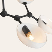Argus Chandelier, 32