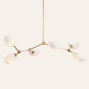 Argus Chandelier, 45