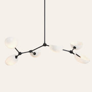 Argus Chandelier, 45
