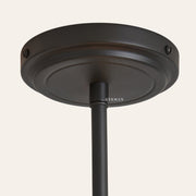 Argus Chandelier, 45