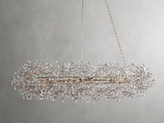 Fiore Oval Chandelier