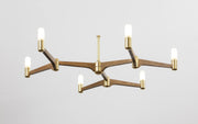 Guinevere 6 Light Modern Brass Chandelier - Joe Scog