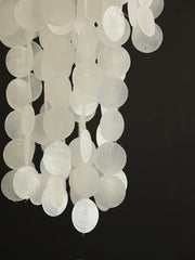 Nerida Shell Chandelier